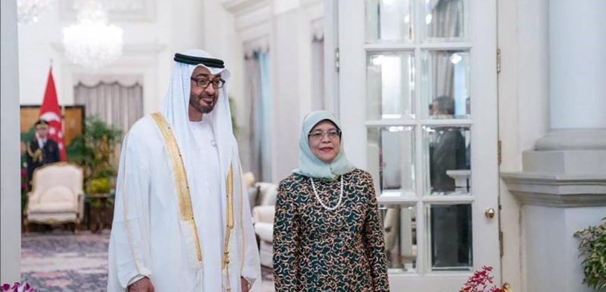 The UAE and Singapore: Countries with Commonalities