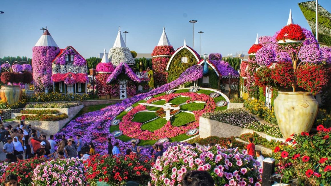 Dubai Miracle Garden reopens for its 12th season: Tickets, timings & more