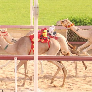 President’s Diwan Badge Race gains momentum at AlDhaid Racecourse