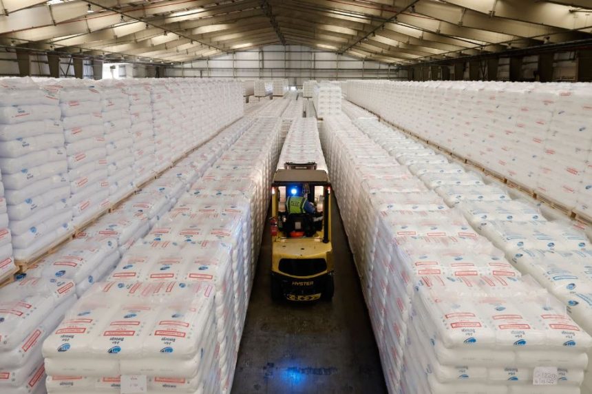 Borouge reports 22% Q3 2023 net profit increase