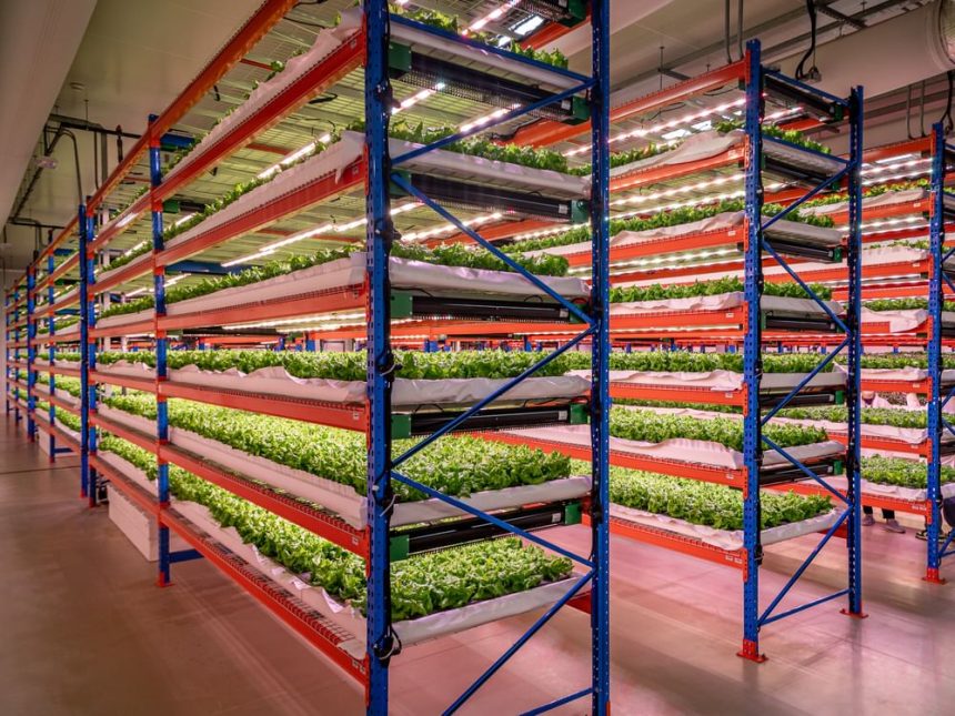 Emirates Flight Catering fully acquires Bustanica