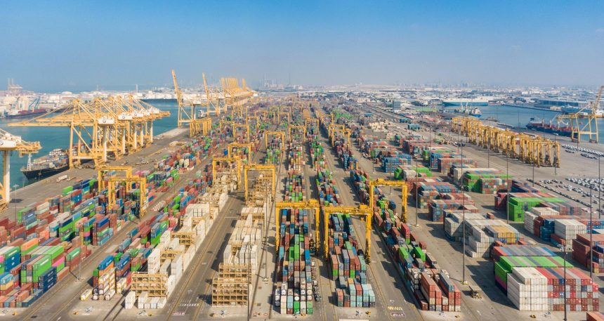UAE Digital Economy Council showcases rates of digital adoption in UAE