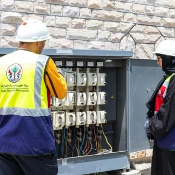 SEWA connects power to 1,135 projects