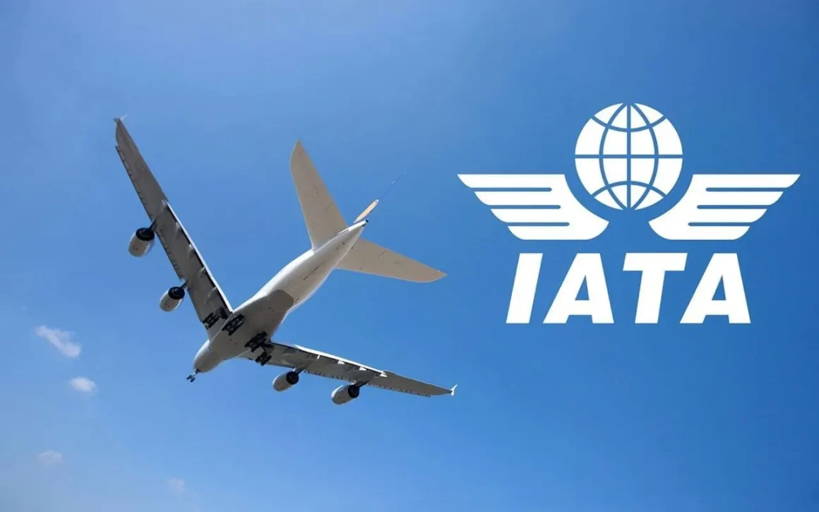 June air cargo demand surges 14.1%: IATA