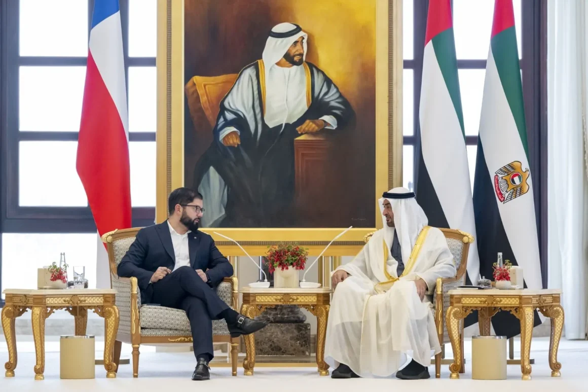 UAE and Chilean Presidents discuss strengthening bilateral relations