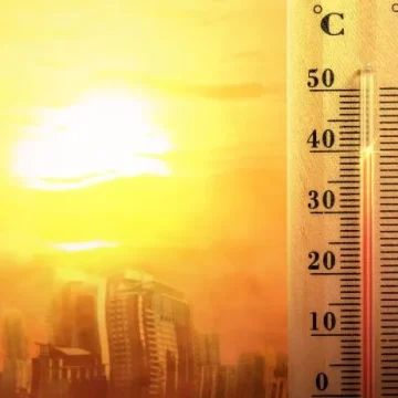 2024 could be world’s hottest year as June breaks records