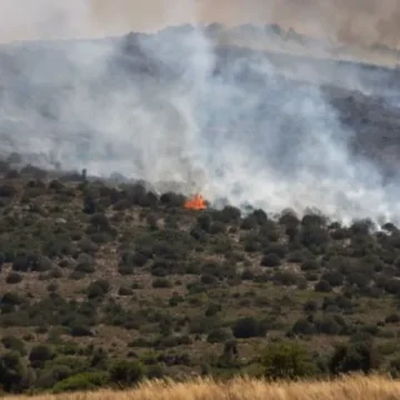 78 citizens were affected by the fire n Türkiye’s western Izmir province