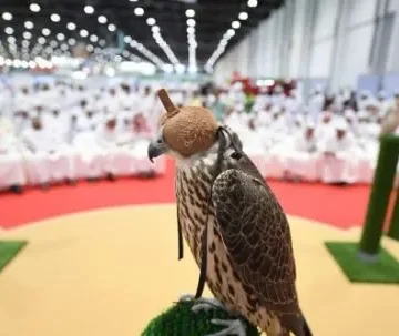 ADIHEX set to take its Falcon Auction online