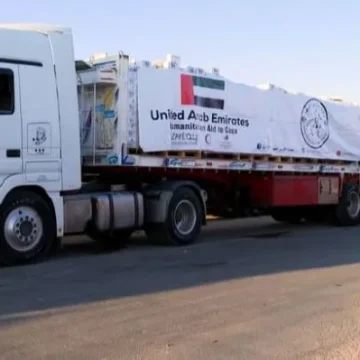 UAE continues relief efforts in Gaza: Report