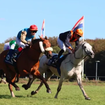 Netherlands hosts last round of UAE President Cup for Arabian Purebred Series on Sunday