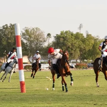 Pink Polo charity sports festival to be held on November 9