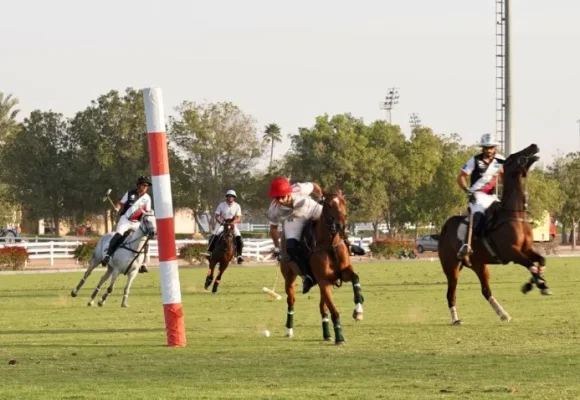 Pink Polo charity sports festival to be held on November 9