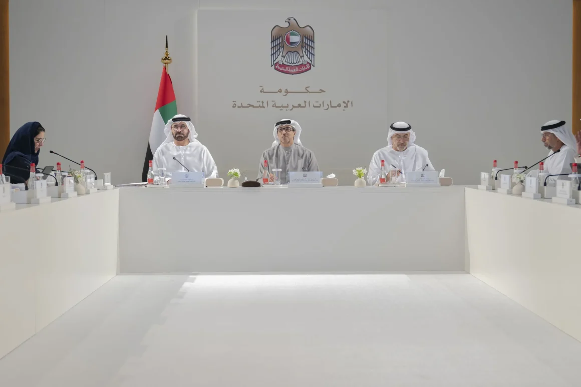 Mansour bin Zayed chairs Ministerial Development Council meeting